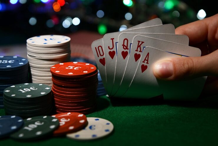 cicak win What Sits Inside Our Casino